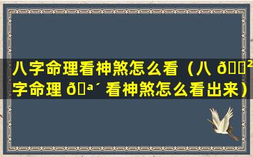 八字命理看神煞怎么看（八 🌲 字命理 🪴 看神煞怎么看出来）